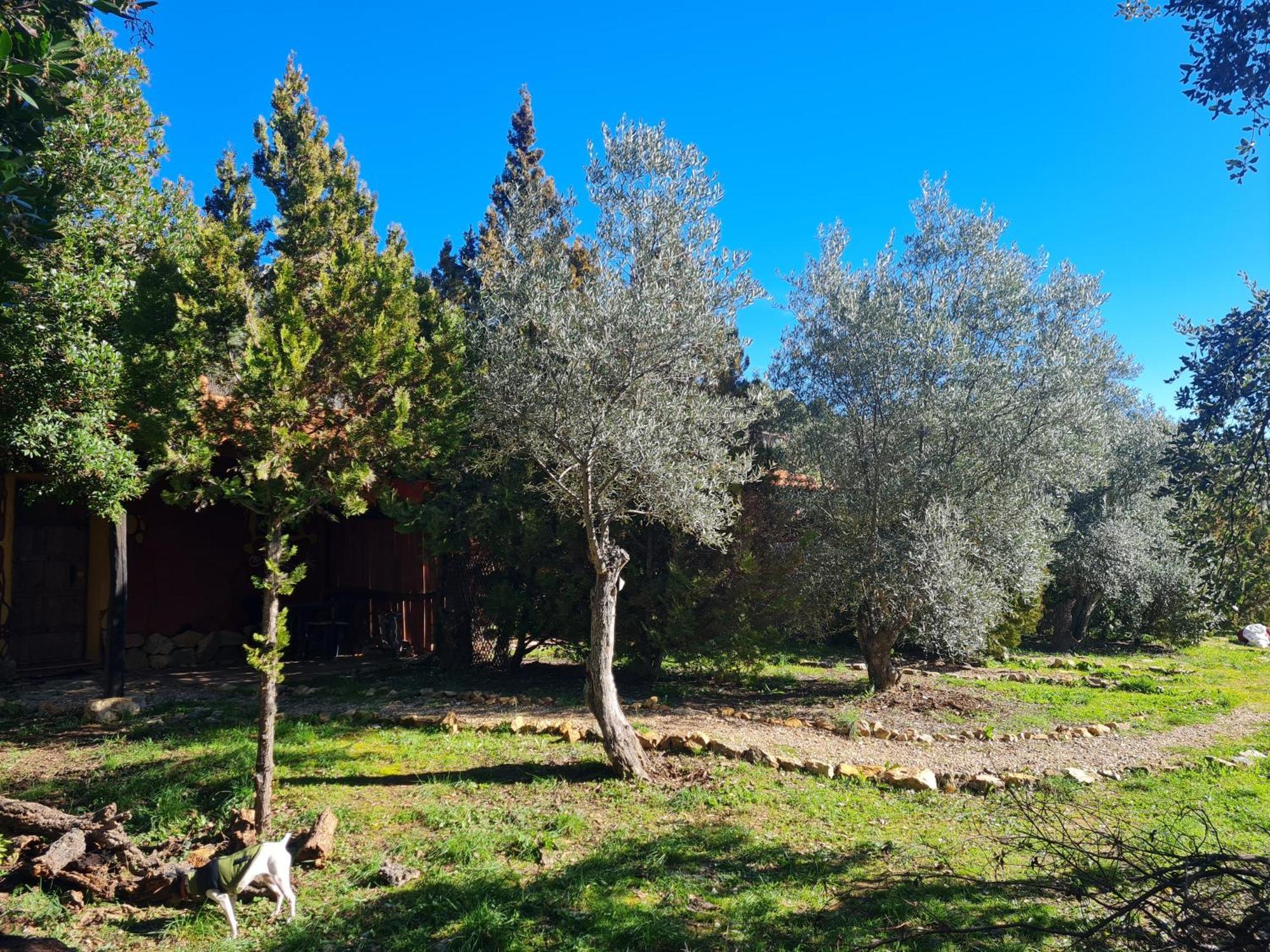 Apartamentos Rurales Candela Cañamero Kültér fotó