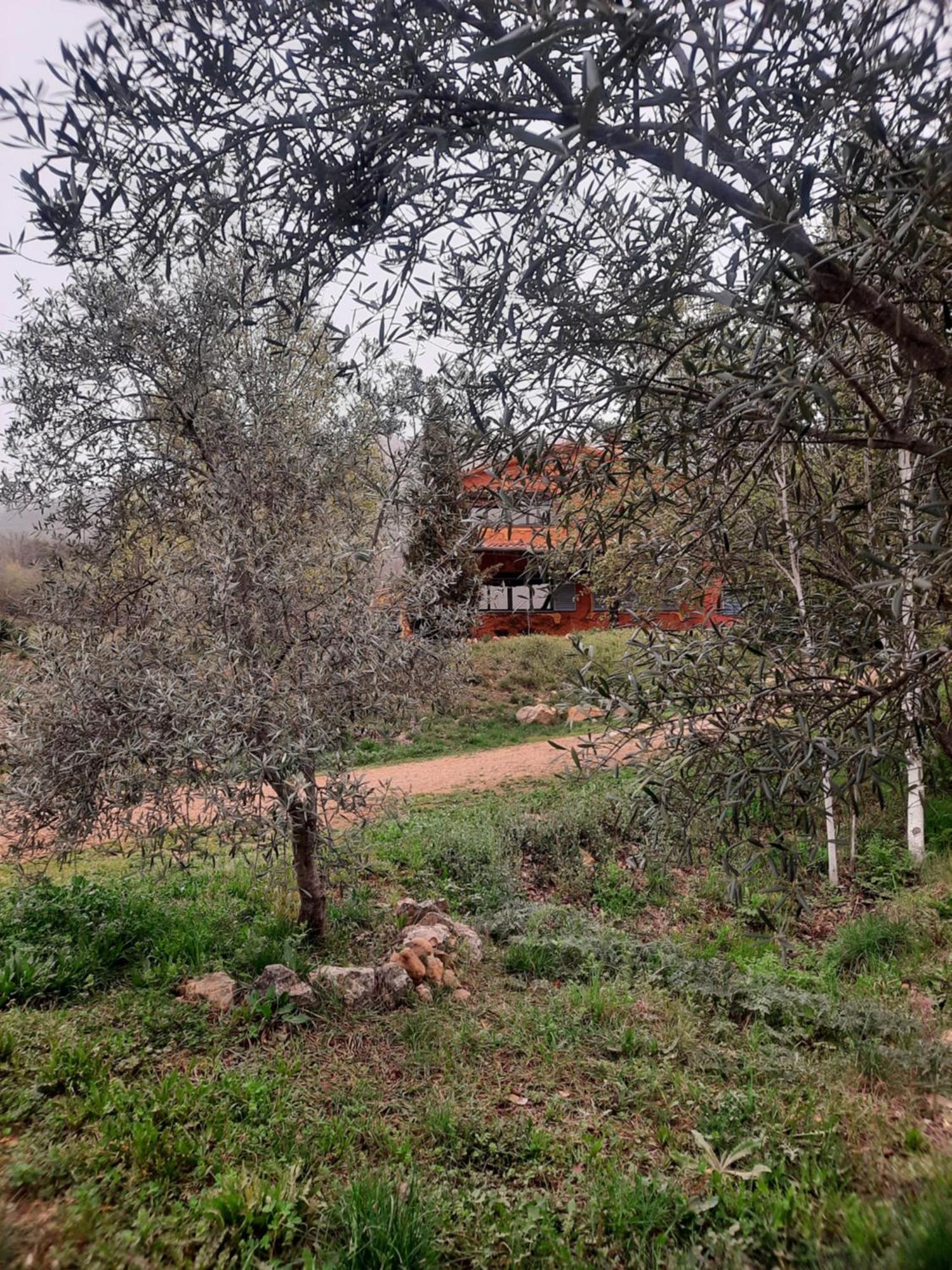 Apartamentos Rurales Candela Cañamero Kültér fotó